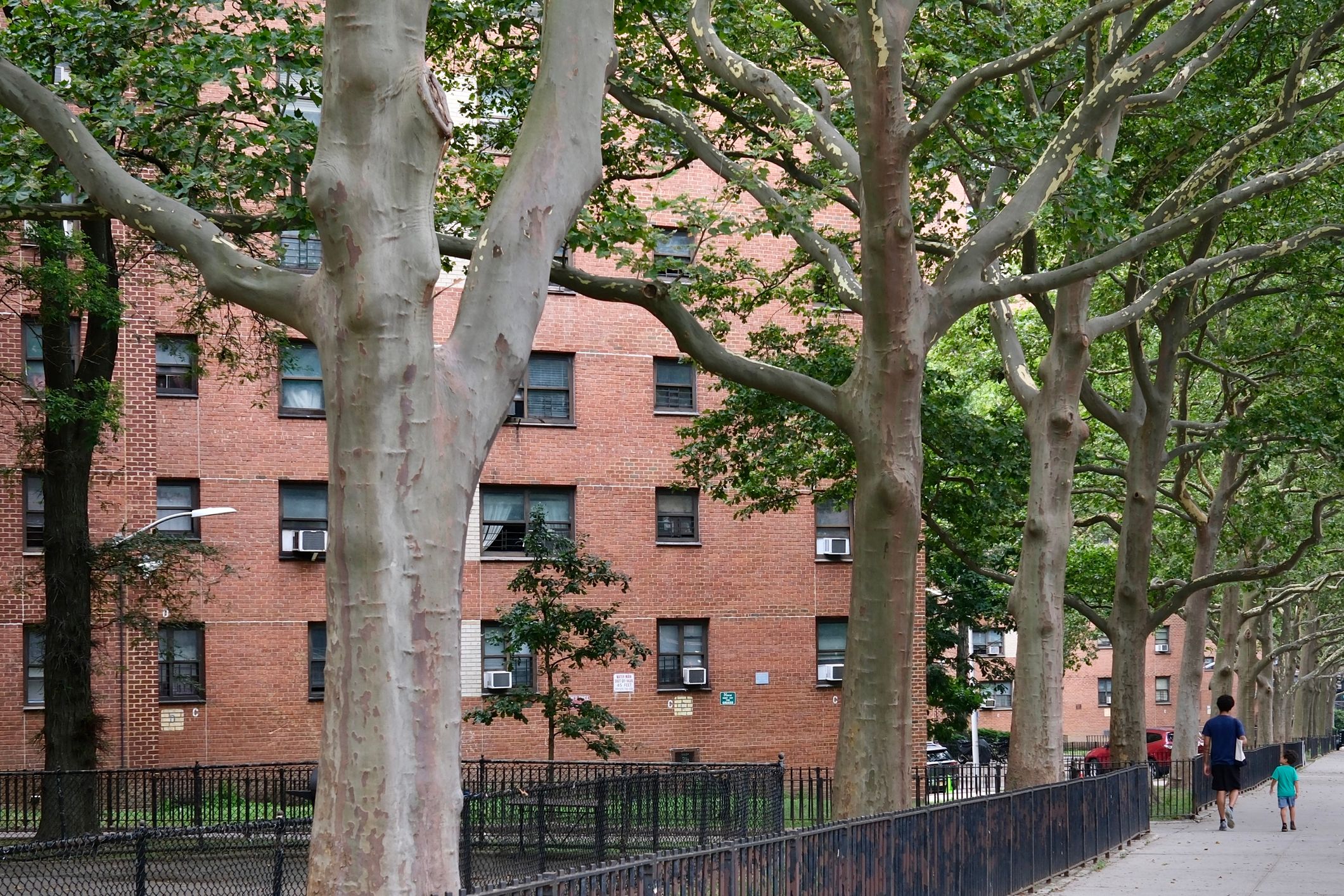 What Does Income-Restricted Housing Mean in NYC? A Renter’s Guide